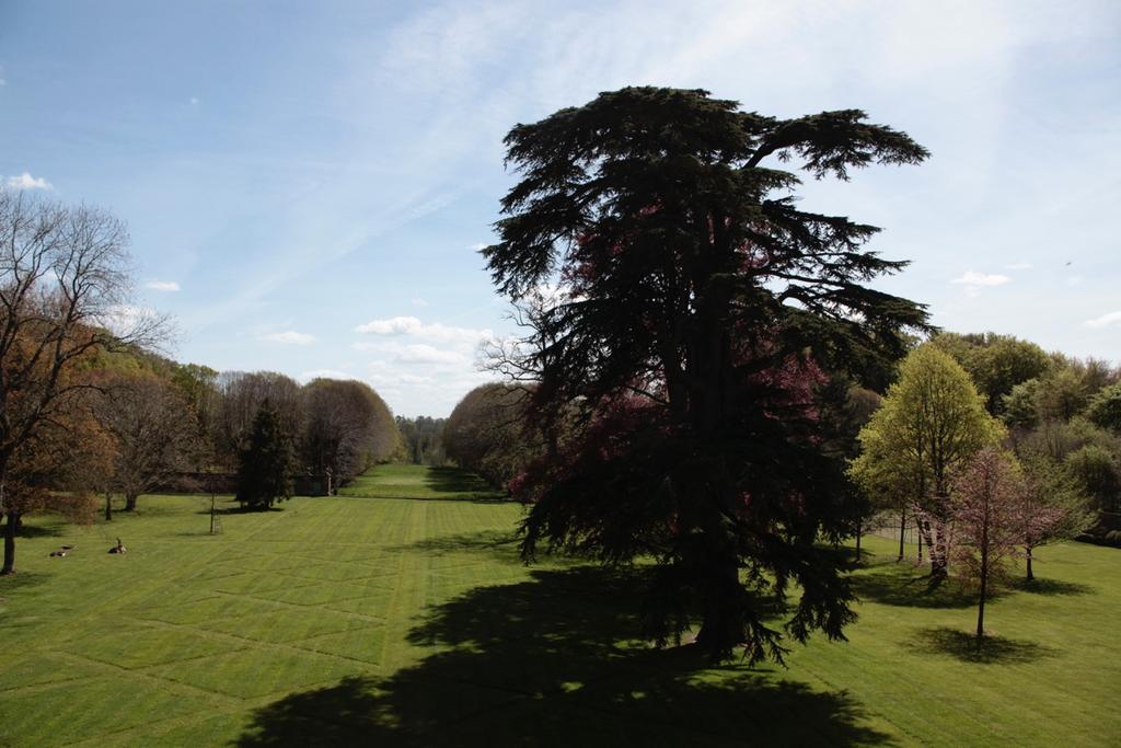 Tourville-sur-Arques Chateau De Miromesnil Bed & Breakfast エクステリア 写真